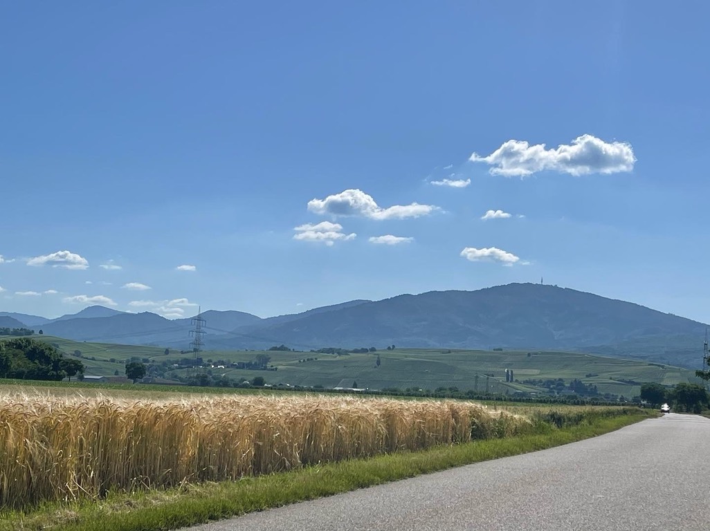 Blauen im Sommer.jpg