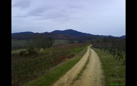 radtour-istein--mobil