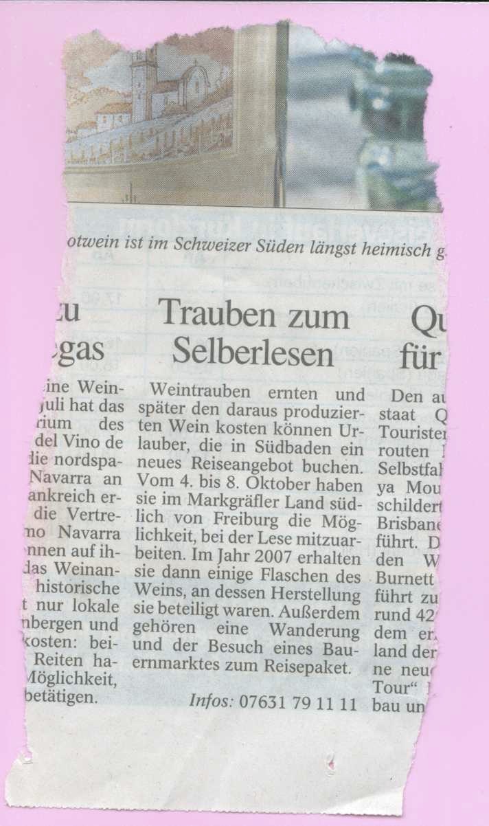 Weinlese in Ostth-Zeit2006 2.JPG